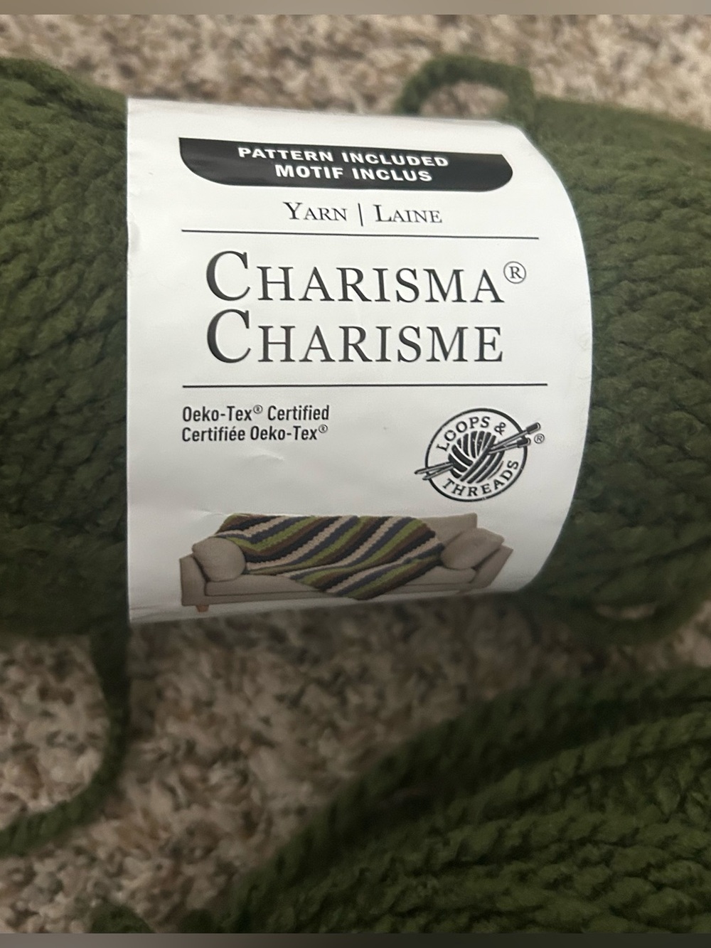 Loops and Threads Charisma Bulky Yarn  Forest